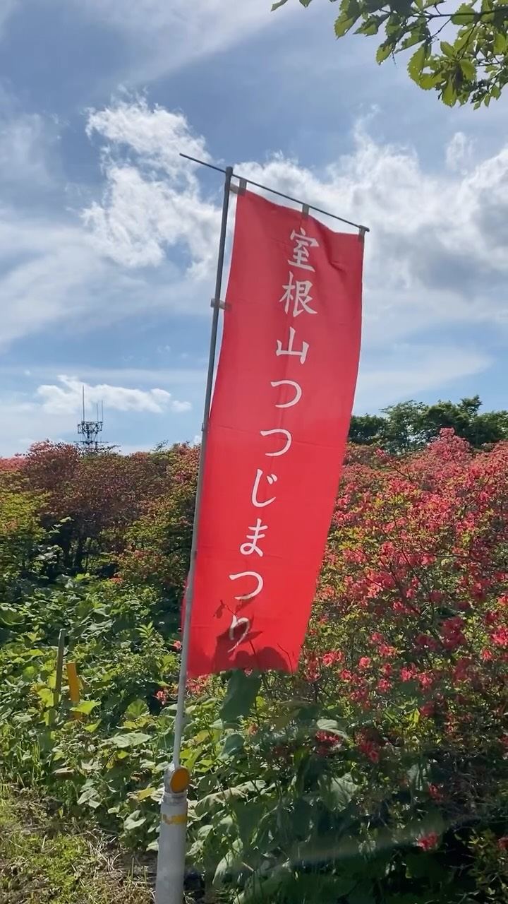 A red festival banner among hillsides of blooming azaleas on Mt. Murone