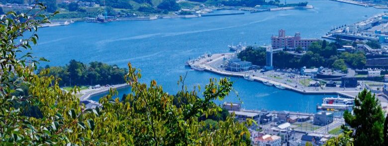 Kesennuma Bay seen from the hills, harbour and town below